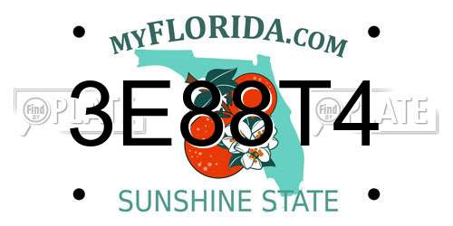 3E88T4 Florida License Plate