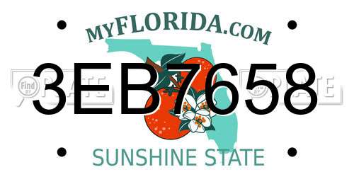3EB7658 Florida License Plate