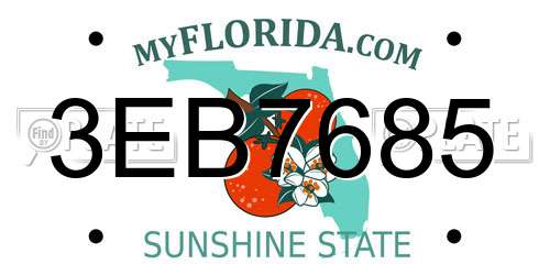 3EB7685 Florida License Plate