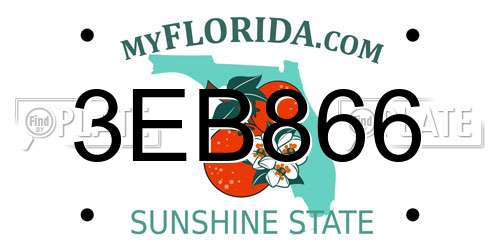 3EB866 Florida License Plate