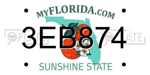 3EB874 Florida License Plate