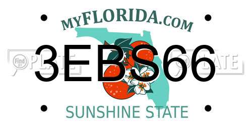 3EBS66 Florida License Plate