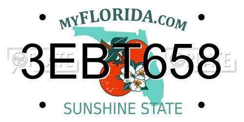 3EBT658 Florida License Plate