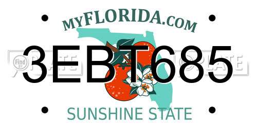 3EBT685 Florida License Plate