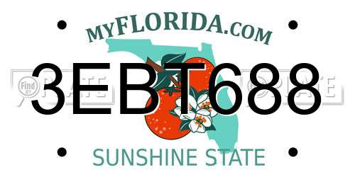 3EBT688 Florida License Plate