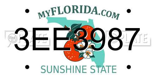 3EE3987 Florida License Plate