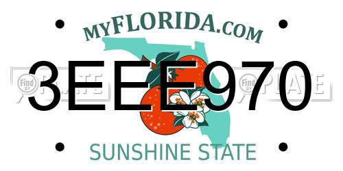 3EEE970 Florida License Plate