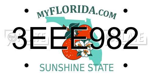 3EEE982 Florida License Plate