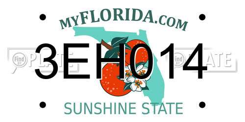 3EH014 Florida License Plate