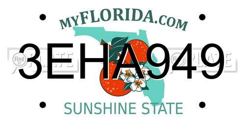 3EHA949 Florida License Plate