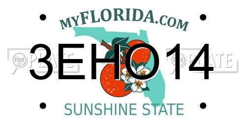 3EHO14 Florida License Plate