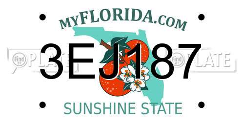3EJ187 Florida License Plate
