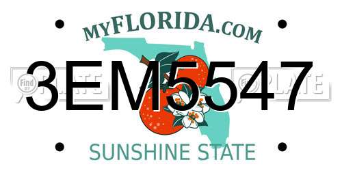 3EM5547 Florida License Plate