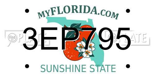3EP795 Florida License Plate