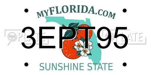 3EPT95 Florida License Plate