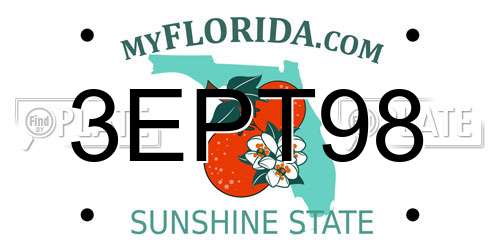 3EPT98 Florida License Plate