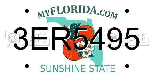 3ER5495 Florida License Plate
