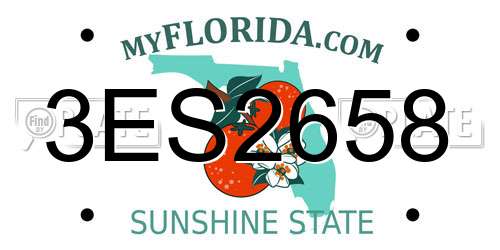 3ES2658 Florida License Plate