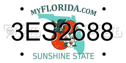 3ES2688 Florida License Plate