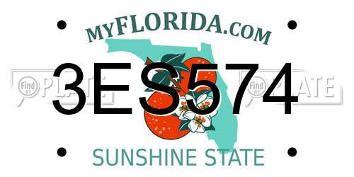 3ES574 Florida License Plate