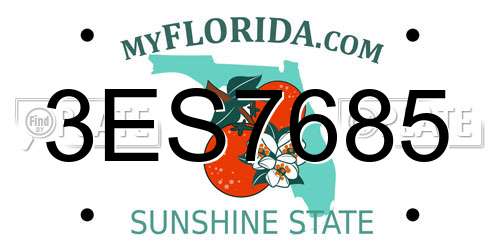 3ES7685 Florida License Plate