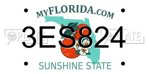 3ES824 Florida License Plate