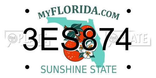 3ES874 Florida License Plate