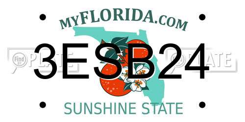 3ESB24 Florida License Plate