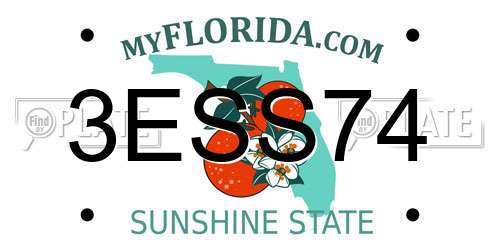 3ESS74 Florida License Plate