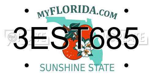 3EST685 Florida License Plate