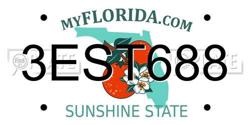 3EST688 Florida License Plate