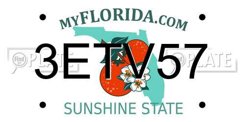 3ETV57 Florida License Plate