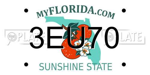 3EU70 Florida License Plate