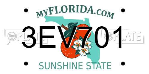 3EV701 Florida License Plate