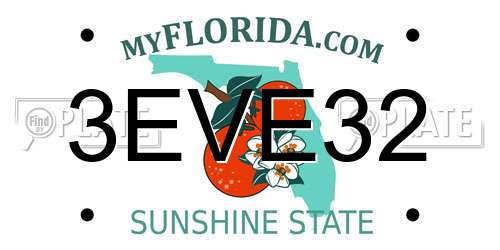 3EVE32 Florida License Plate