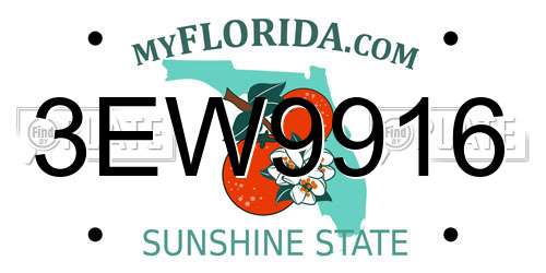 3EW9916 Florida License Plate