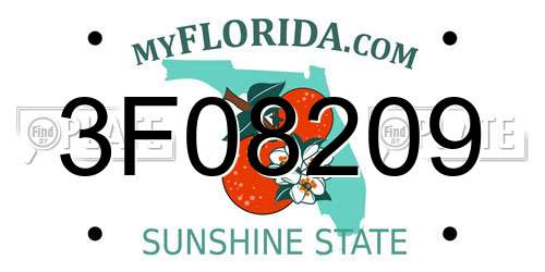 3F08209 Florida License Plate