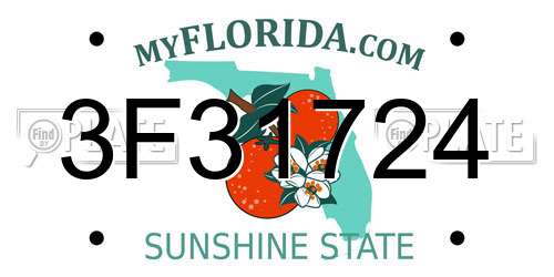 3F31724 Florida License Plate