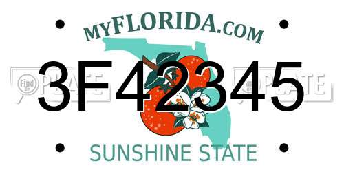 3F42345 Florida License Plate