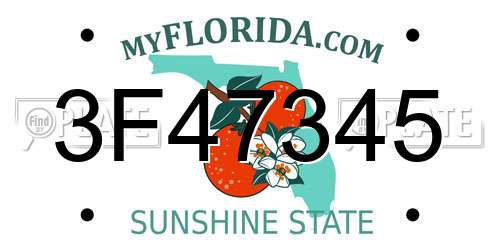 3F47345 Florida License Plate
