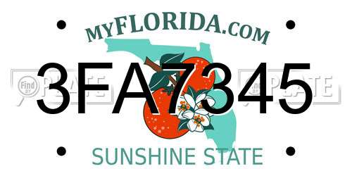 3FA7345 Florida License Plate