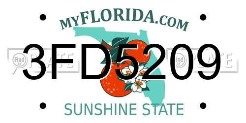 3FD5209 Florida License Plate