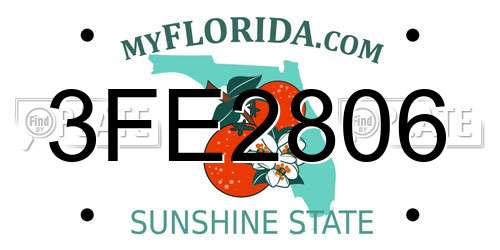3FE2806 Florida License Plate