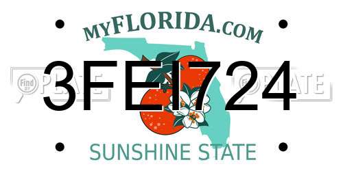 3FEI724 Florida License Plate