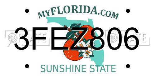 3FEZ806 Florida License Plate