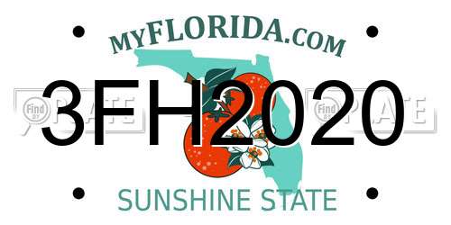 3FH2020 Florida License Plate
