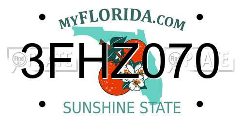 3FHZ070 Florida License Plate