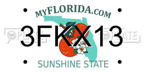 3FKX13 Florida License Plate