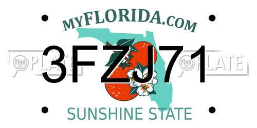 3FZJ71 Florida License Plate