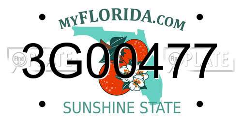 3G00477 Florida License Plate